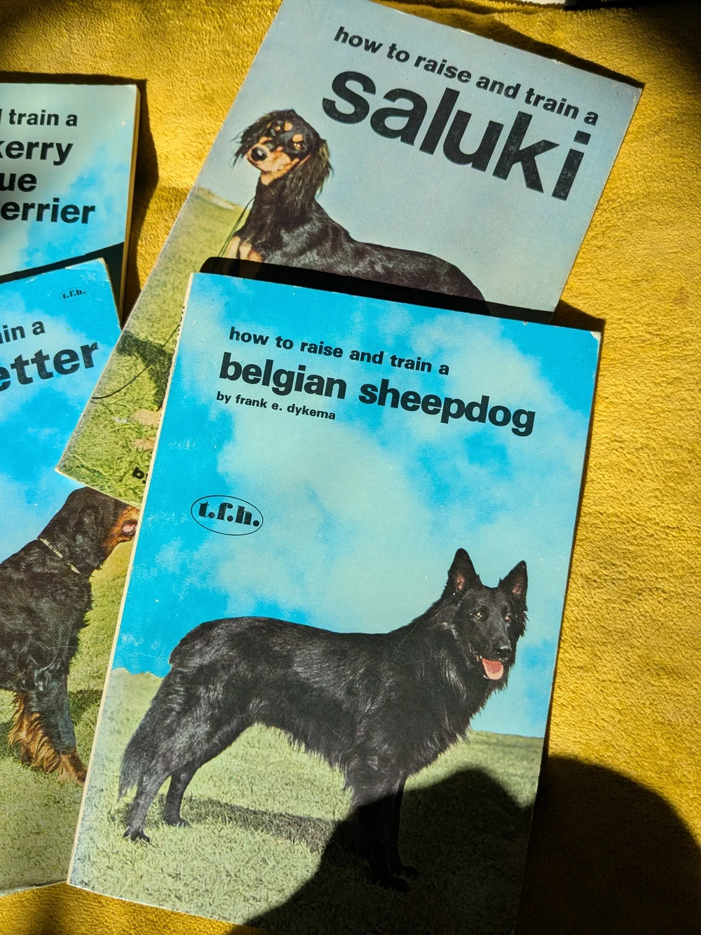Vintage 'How to Raise and Train' Dog Breed Book Set